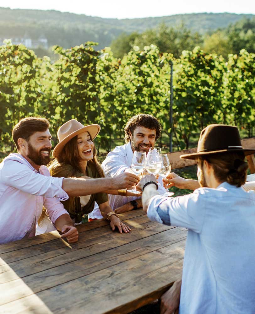Grupo de amigos brindando con vino al aire libre