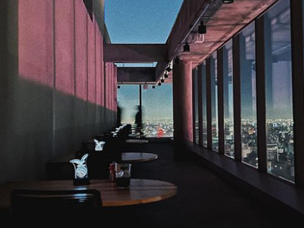 Experiencia en Olympo Sky Bar